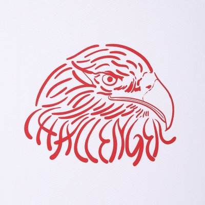 画像3: CHALLENGER/EAGLE TEE（WHITE）［イーグルT-25秋冬］