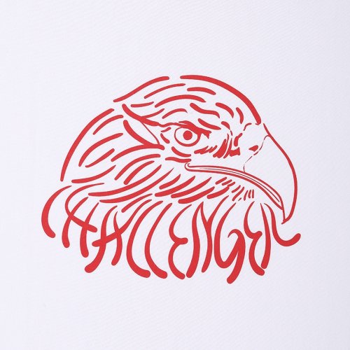 他の写真3: CHALLENGER/EAGLE TEE（WHITE）［イーグルT-25秋冬］