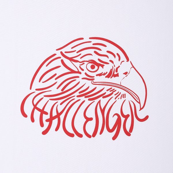 画像3: CHALLENGER/EAGLE TEE（WHITE）［イーグルT-25秋冬］