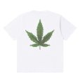 画像1: BlackEyePatch/SMALL OG BIG LEAF TEE（WHITE） (1)