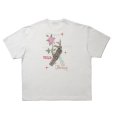 画像1: COOTIE PRODUCTIONS/Print S/S Tee（Wild Honey）（White）［プリントT-25春夏］ (1)