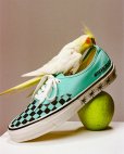 画像6: WACKO MARIA/VANS / LX AUTHENTIC 44（BLUE）［LX オーセンティック 44-24秋冬］