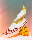 画像6: WACKO MARIA/VANS / LX AUTHENTIC 44（WHITE）［LX オーセンティック 44-24秋冬］