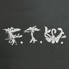 画像2: exodus/PHOENIX F.T.W. T-SHIRT（BLACK）［プリントT-25秋冬］ (2)