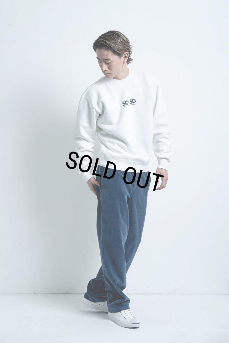 画像8: RATS/CORDUROY EASY PANTS（BLUE GRAY）［コーデュロイイージーパンツ-25秋冬］ (8)