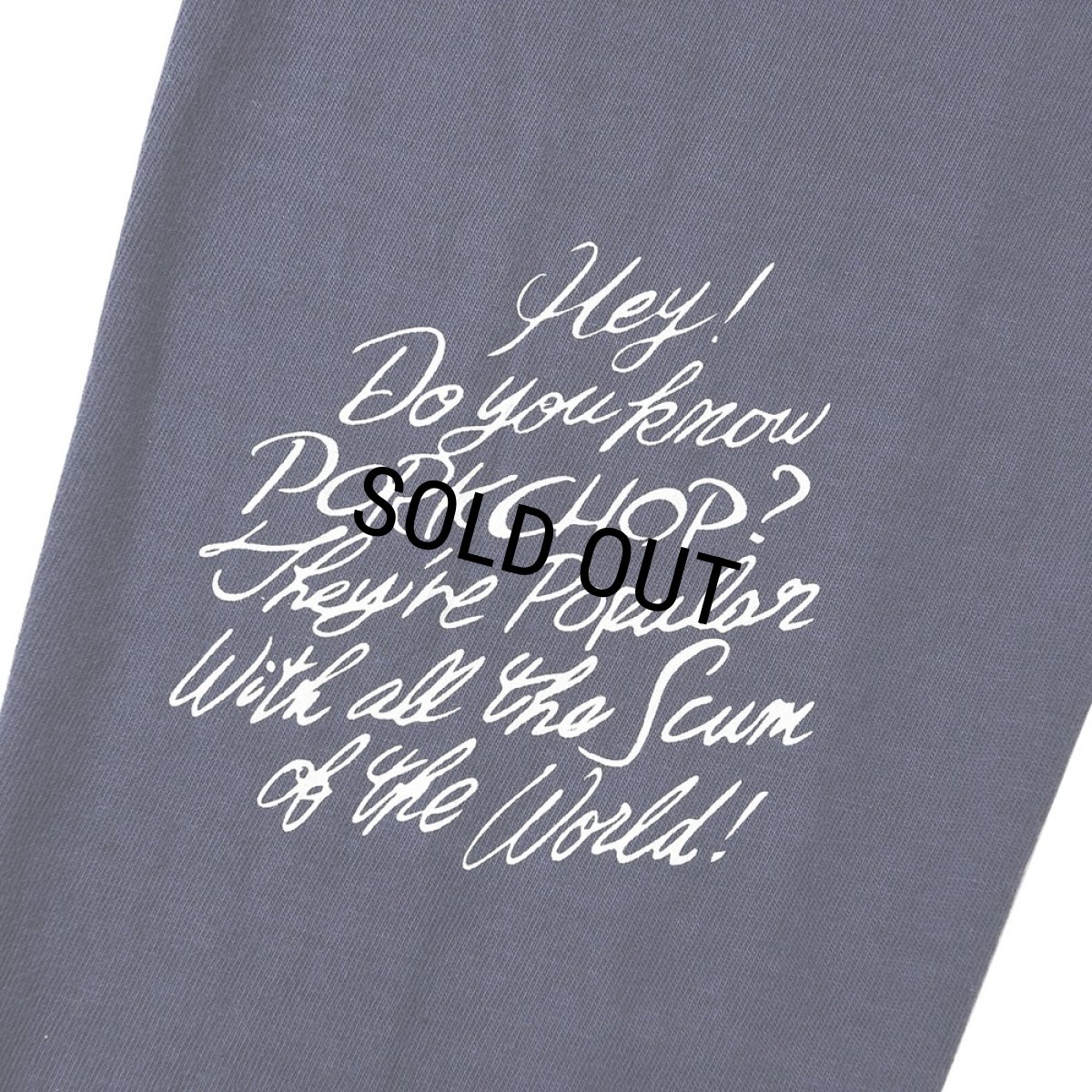 画像3: PORKCHOP/SCUM PORK L/S TEE（NAVY）［スカムポーク長袖T-25秋冬］ (3)