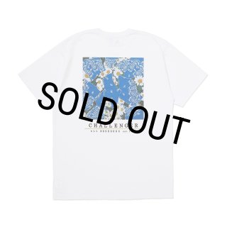 CHALLENGER/DAISY TEE（WHITE）［デイジーT-26春夏］ - JONAS