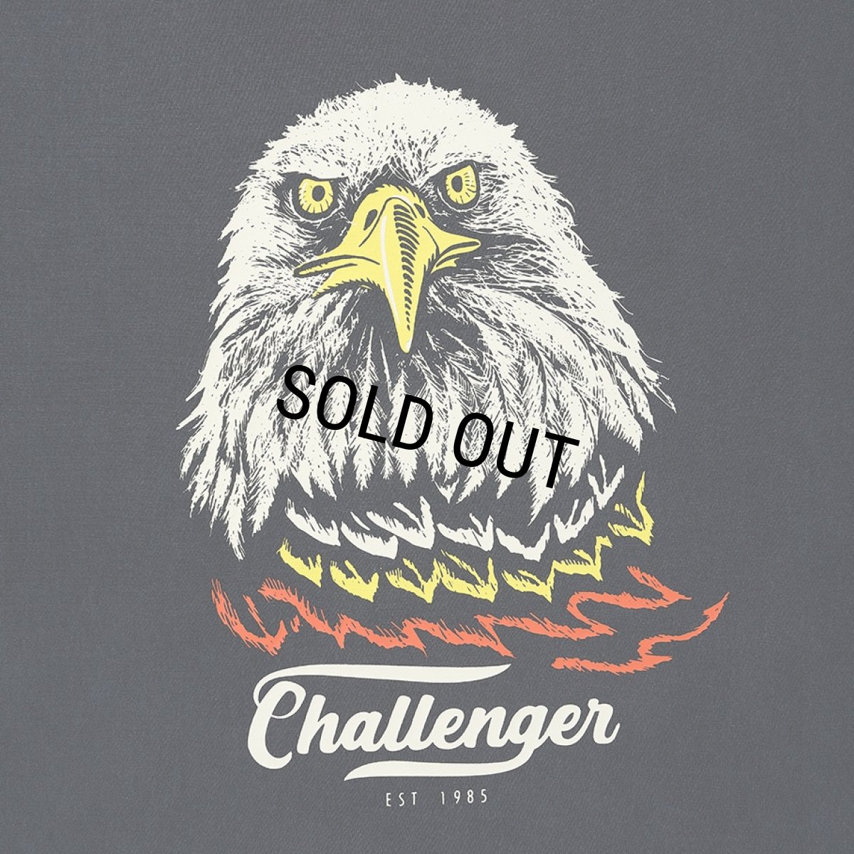 画像4: CHALLENGER/EAGLE TEE（PEPPER BLACK）［イーグルT-26春夏］ (4)