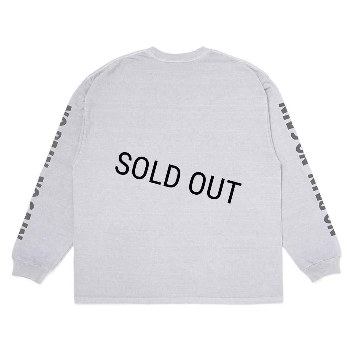 画像2: CHALLENGER/L/S PIGMENT SNAKE TEE（GRAY）［ピグメントスネーク長袖T-26春夏］ (2)