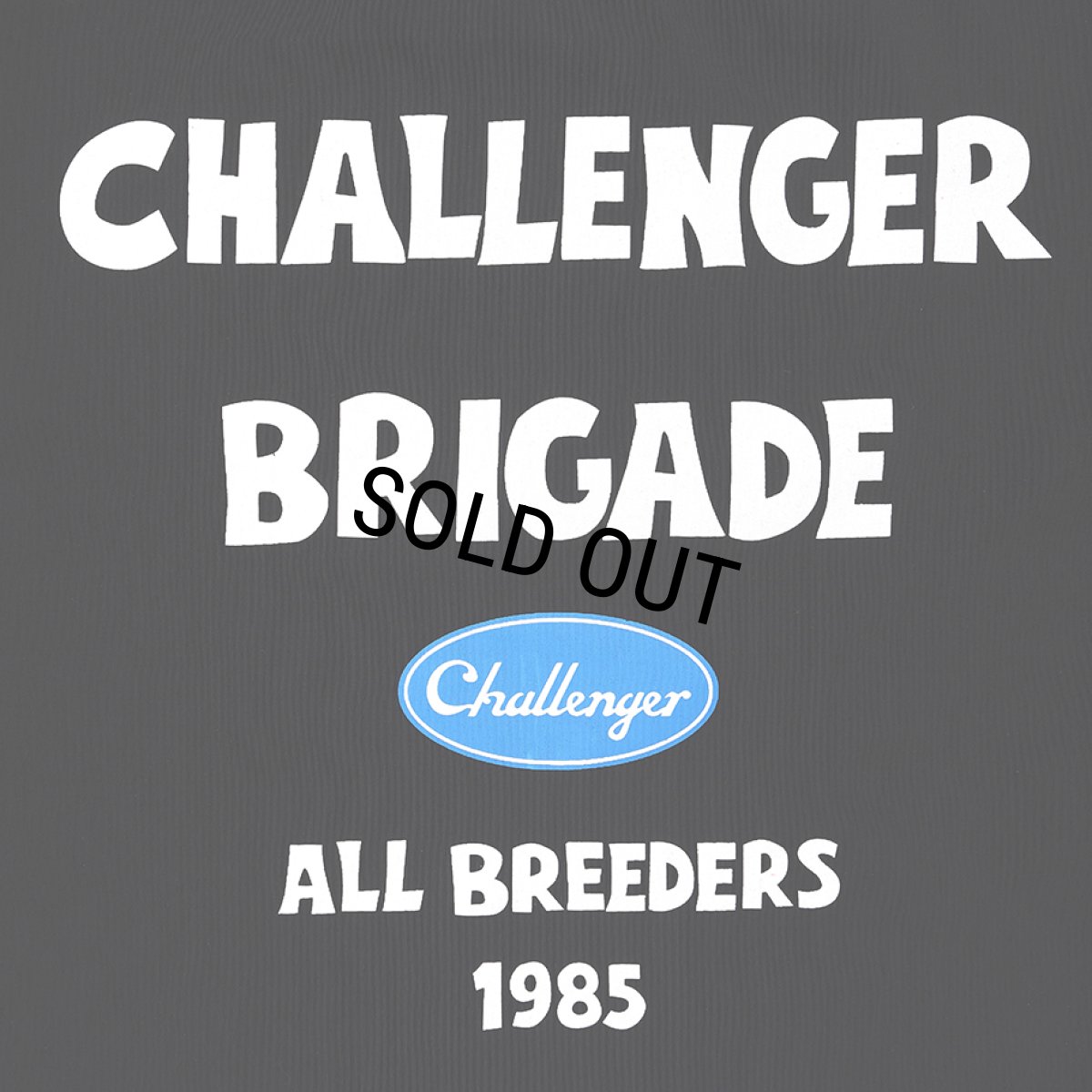 画像4: CHALLENGER/STORM TOTE BAG（BLACK）［ストームトートバッグ-26春夏］ (4)