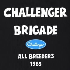 画像4: CHALLENGER/STORM TOTE BAG（BLACK）［ストームトートバッグ-26春夏］ (4)