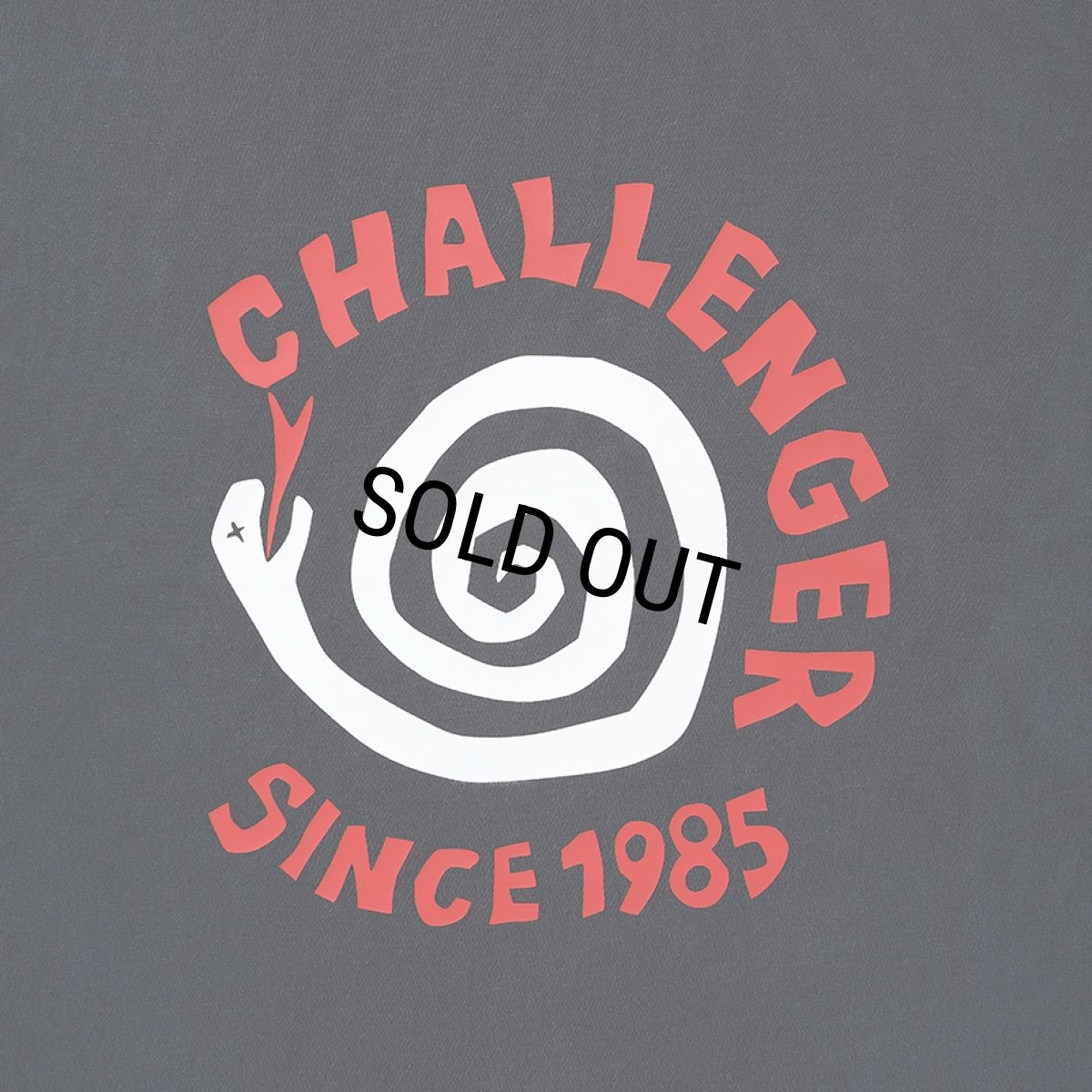 画像3: CHALLENGER/PIGMENT SPIRAL SNAKE TEE（PEPPER BLACK）［ピグメントスパイラルスネークT-26春夏］ (3)