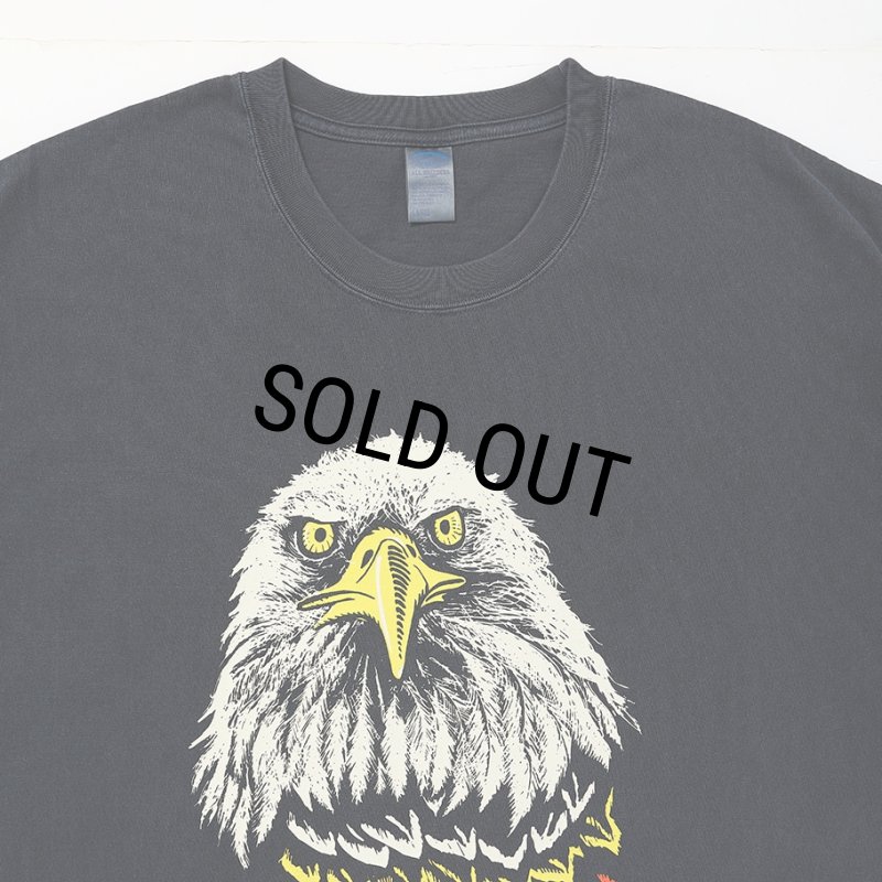 CHALLENGER/EAGLE TEE（PEPPER BLACK）［イーグルT-26春夏］ - JONAS
