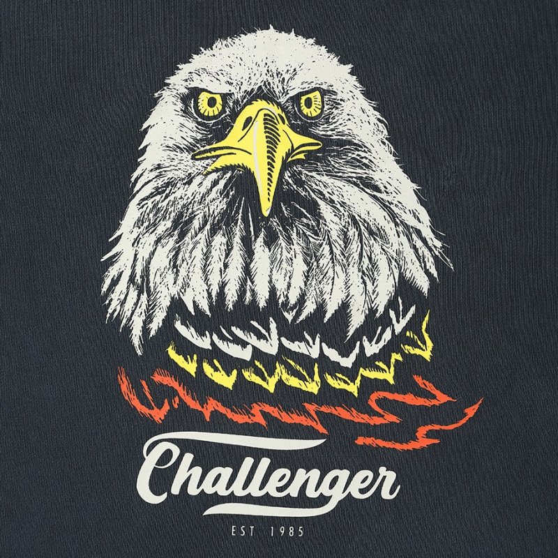 画像3: CHALLENGER/EAGLE C/N SWEAT（PEPPER BLACK）［イーグルクルーネックスウェット-26春夏］