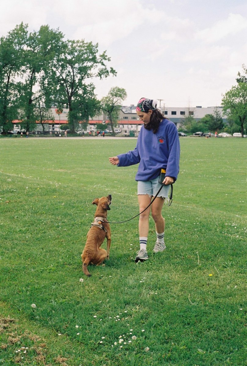 画像6: CHALLENGER/ROSE C/N FLEECE（BLUE）［ローズクルーネックフリース-25秋冬］ (6)