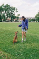 画像6: CHALLENGER/ROSE C/N FLEECE（BLUE）［ローズクルーネックフリース-25秋冬］ (6)