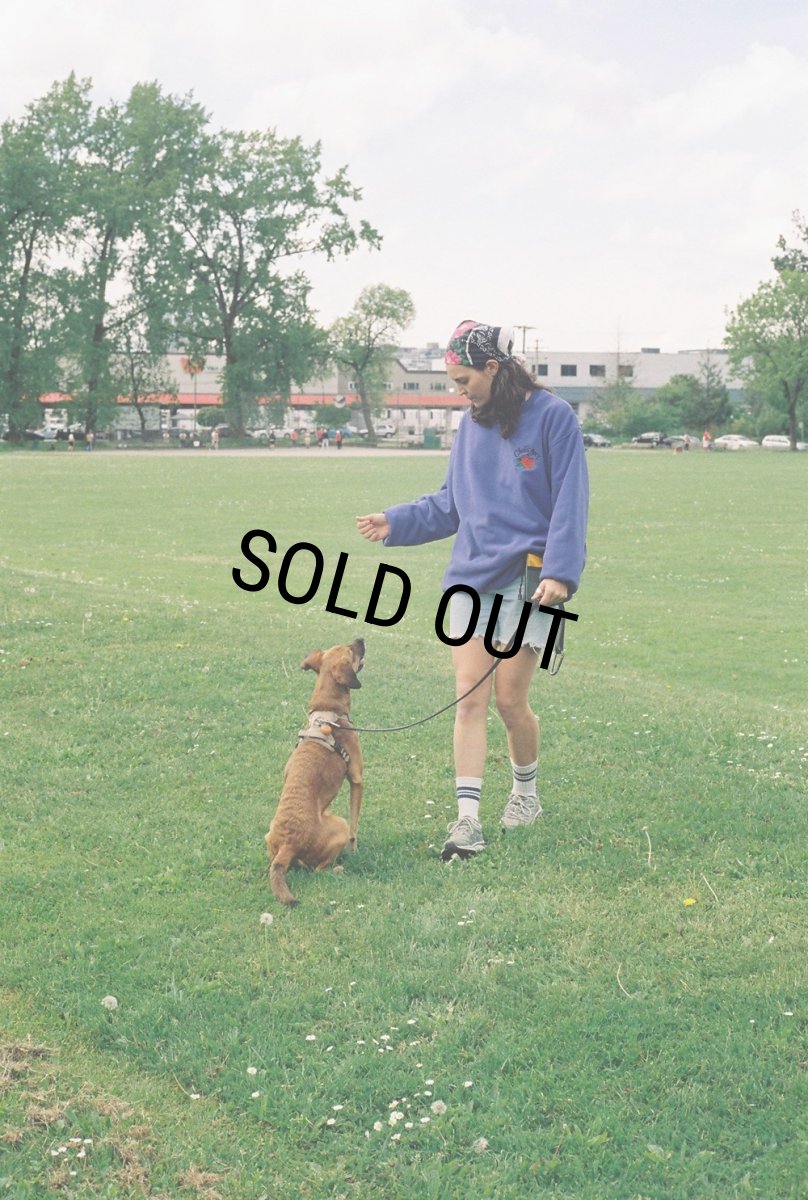 画像3: CHALLENGER/ROSE C/N FLEECE（PURPLE）［ローズクルーネックフリース-25秋冬］ (3)