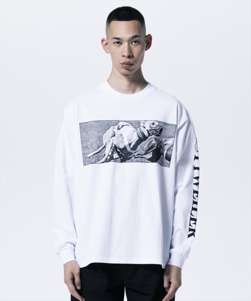 画像3: 【ご予約受付中！26年4月入荷予定】ROTTWEILER/DOGRACE LS TEE（WHITE）［プリント長袖T-26春夏］