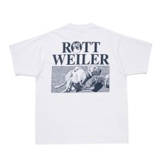 画像1: 【ご予約受付中！26年4月入荷予定】ROTTWEILER/DOGRACE TEE（WHITE）［プリントT-26春夏］ (1)