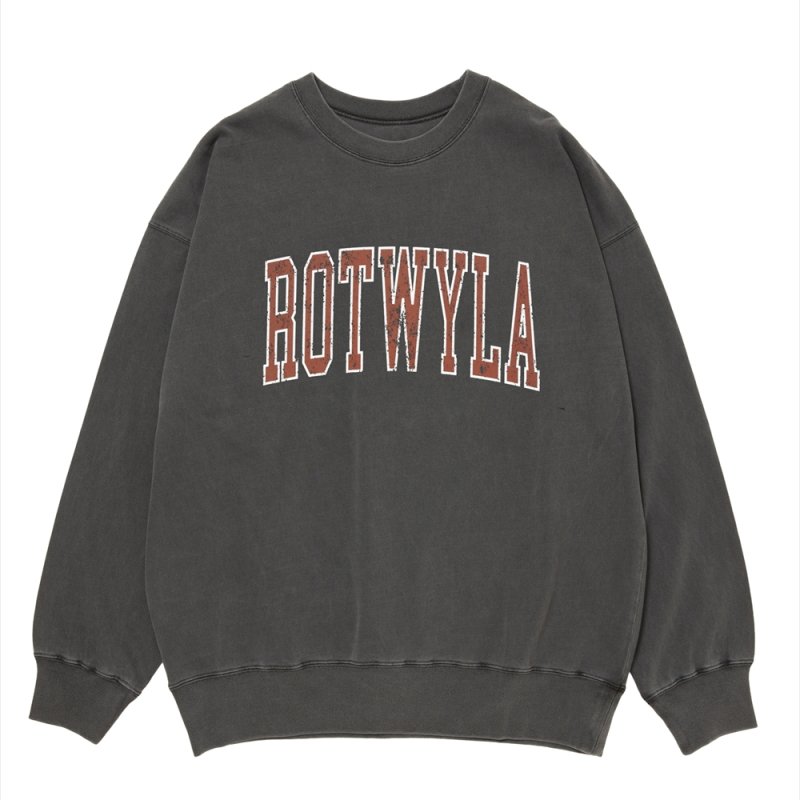 画像1: 【ご予約受付中！26年3月入荷予定】ROTTWEILER/R9 ROT TRAINER（BLACK）［ピグメント加工トレーナー-26春夏］