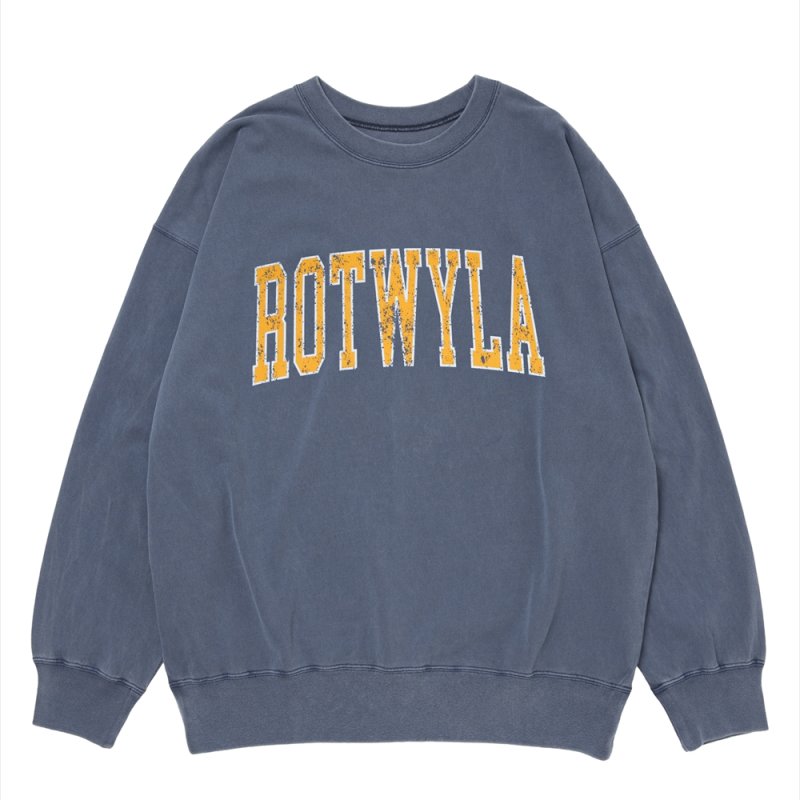 画像1: 【ご予約受付中！26年3月入荷予定】ROTTWEILER/R9 ROT TRAINER（NAVY）［ピグメント加工トレーナー-26春夏］