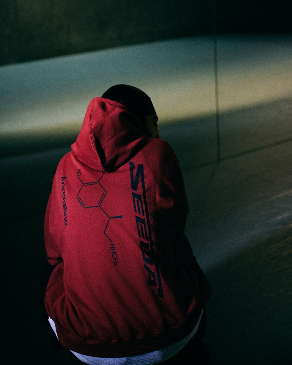 画像10: TIGHTBOOTH/ADRENALINE HOODIE（×SEEDA）（Terracotta）［アドレナリンフーディー-25冬］ (10)