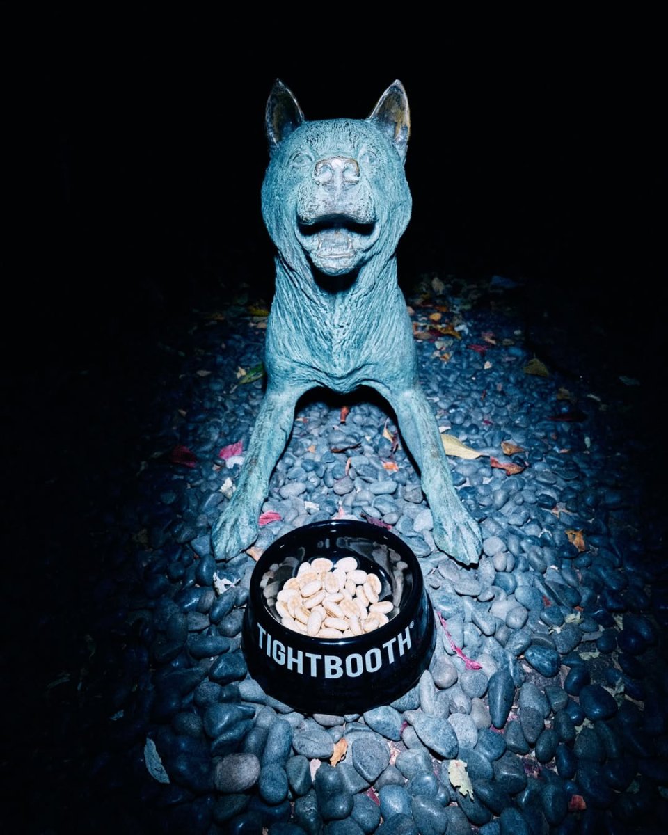 画像4: TIGHTBOOTH/POTTERY DOG BOWL（Black）［ポッタリードッグボウル-26春夏］ (4)