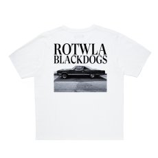 画像1: 【ご予約受付中！26年7月入荷予定】ROTTWEILER/R9 PHOTO TEE（WHITE）［26秋冬］ (1)