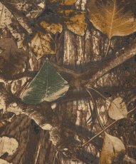 画像6: 【ご予約受付中！26年8月入荷予定】ROTTWEILER/R9 CAMO LS TEE（CAMO）［26秋冬］ (6)