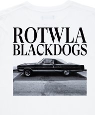 画像6: 【ご予約受付中！26年7月入荷予定】ROTTWEILER/R9 PHOTO TEE（WHITE）［26秋冬］ (6)