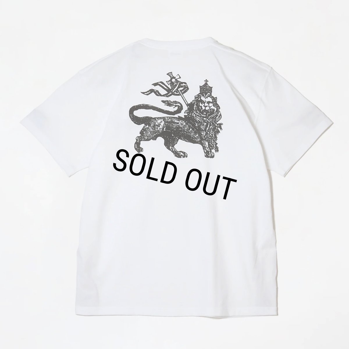 画像2: 【30%OFF】BUENA VISTA/Raster tee uno（WHITE）［プリントT-26春夏］ (2)