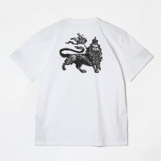 画像2: BUENA VISTA/Raster tee uno（WHITE）［プリントT-26春夏］ (2)