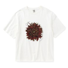 画像1: CALEE/DAHLIA ART TEE ＜MIHO MURAKAMI DESIGN＞（WHITE/RED）［プリントT-26春夏］ (1)