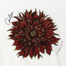 画像3: CALEE/DAHLIA ART TEE ＜MIHO MURAKAMI DESIGN＞（WHITE/RED）［プリントT-26春夏］ (3)