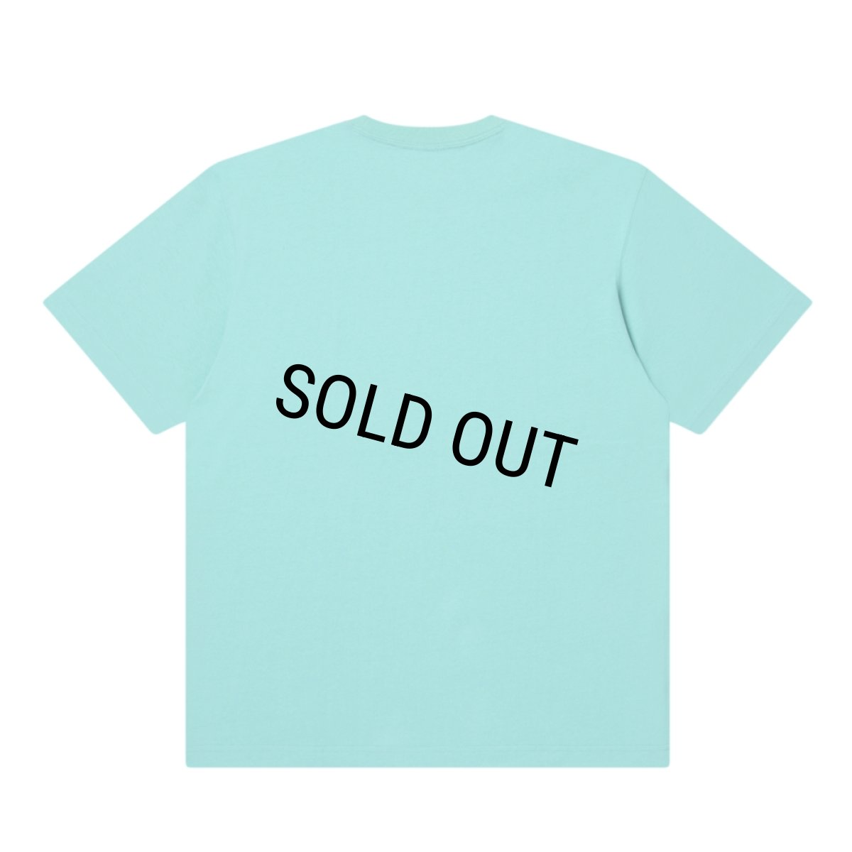 画像2: BlackEyePatch/SMALL OG LABEL HEAVYWEIGHT TEE（MINT GREEN） (2)