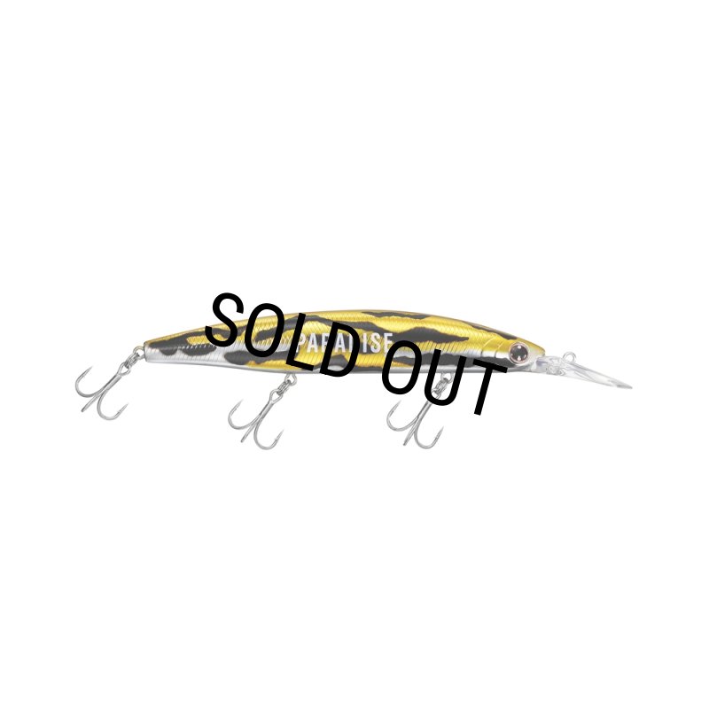 WACKO MARIA/DAIWA / SHORELINE SHINER Z SETUPPER 125S-DR（ONE