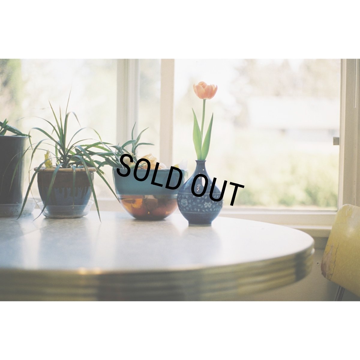 画像7: CHALLENGER/TULIP TEE（WHITE）［チューリップT-26秋冬］ (7)