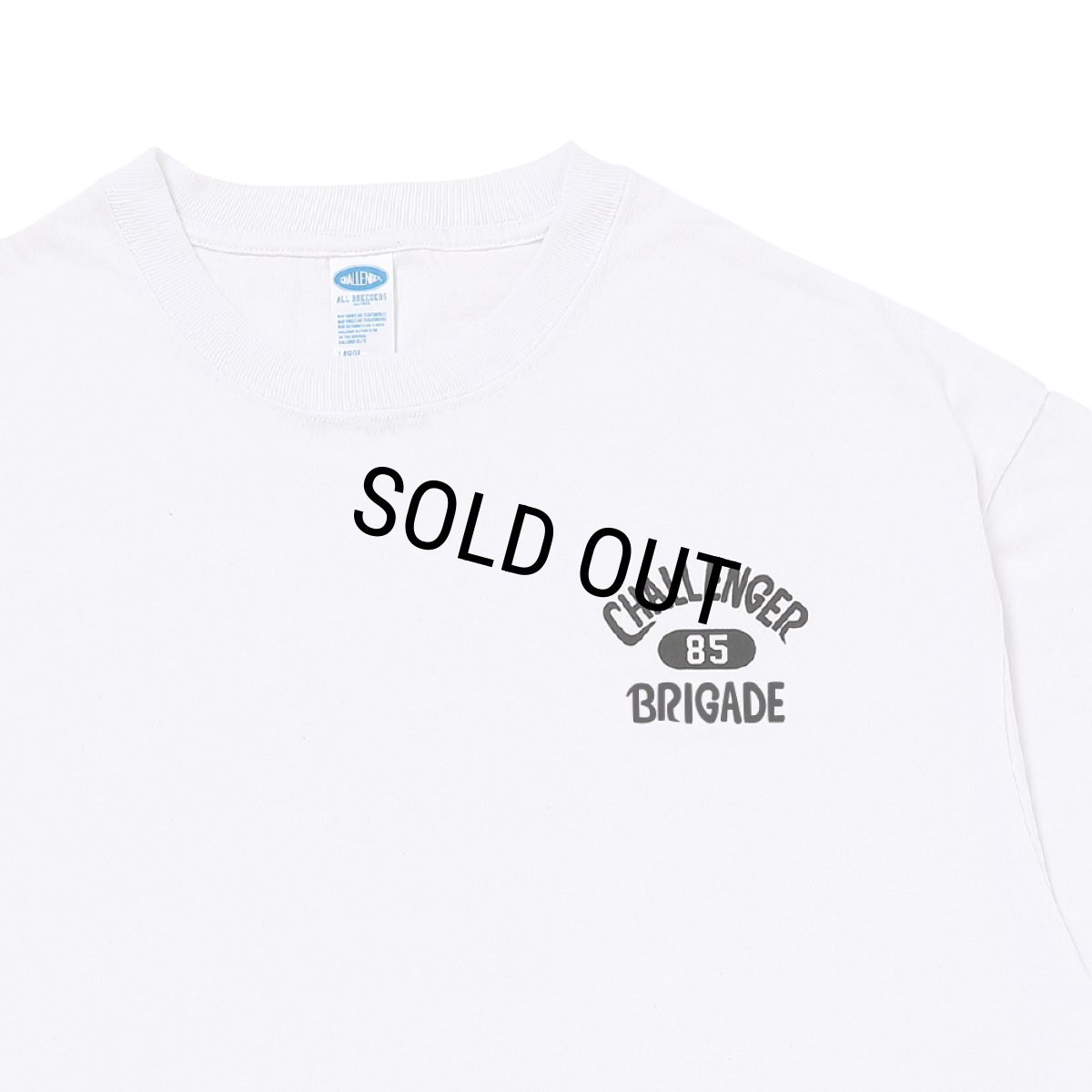 画像3: CHALLENGER/EAGLE TEE（WHITE）［イーグルT-26秋冬］ (3)