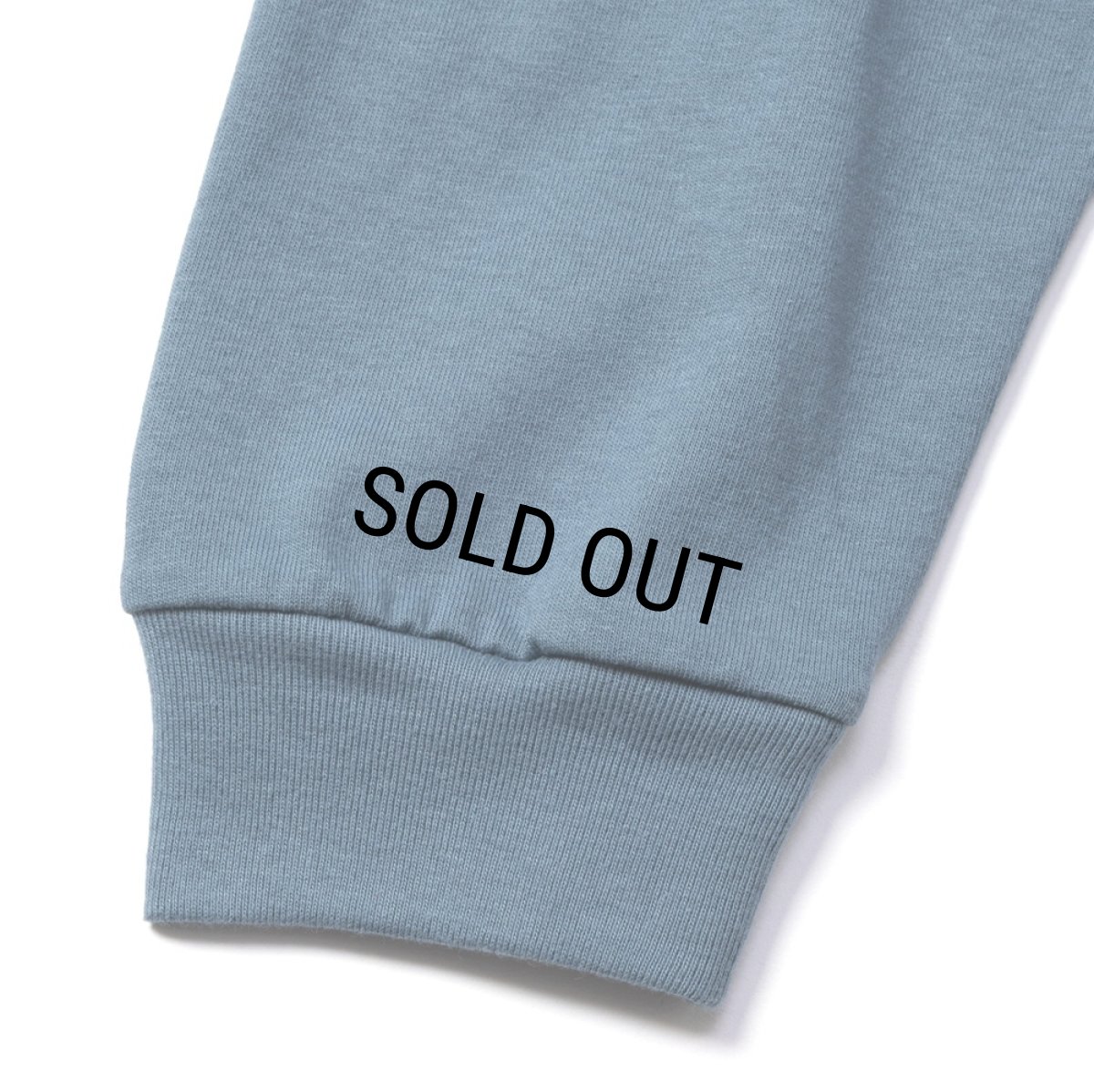 画像5: CALEE/VINTAGE TYPE CALEE SNAKES L/ S TEE（Lt.BLUE）［プリント長袖T-26秋冬］ (5)