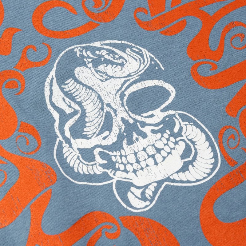 画像3: CALEE/VINTAGE TYPE CALEE SNAKES L/ S TEE（Lt.BLUE）［プリント長袖T-26秋冬］