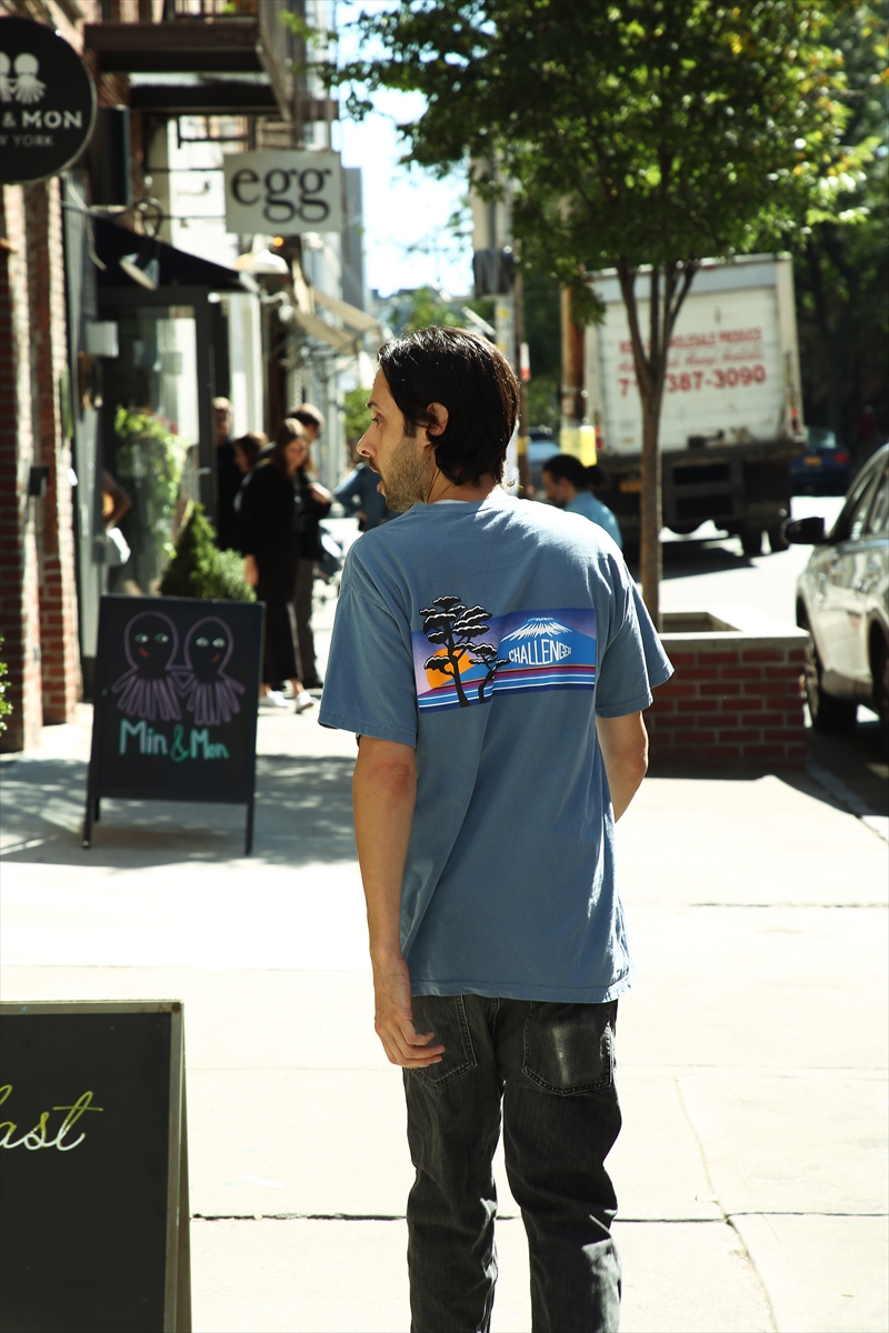 CHALLENGER/NATURE JPN TEE（ホワイト）［プリントT-20春夏］ - JONAS