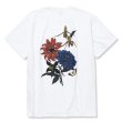 画像1: CALEE/×Miho Murakami Stretch flower pattern t-shirt（ホワイト）［プリントT-22春夏］ (1)
