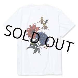 画像: CALEE/×Miho Murakami Stretch flower pattern t-shirt（ホワイト）［プリントT-22春夏］