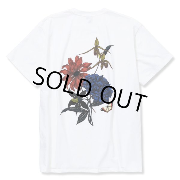 画像1: CALEE/×Miho Murakami Stretch flower pattern t-shirt（ホワイト）［プリントT-22春夏］ (1)