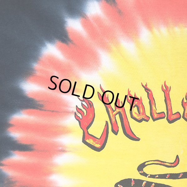 画像4: CHALLENGER/TIE DYE BURNING SNAKE TEE（TIE DYE）［タイダイT-23春夏］ (4)