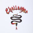 画像3: CHALLENGER/BURNING SNAKE RINGER TEE（WHITE/RED）［リンガーT-23春夏］ (3)