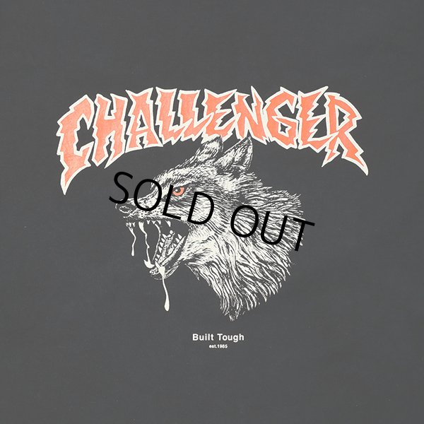 セールの引き下げ 23ss CHALLENGER L/S TIE DYE LOGO TEE XL - トップス