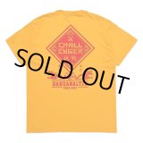 画像: CHALLENGER/BD 2023 TOUR TEE（YELLOW）［プリントT-23春夏］