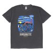 画像1: CHALLENGER/BD TIGER TEE（BLACK）［タイガーT-23秋冬］ (1)