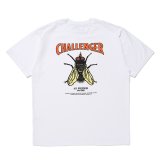 画像: CHALLENGER/HIBISCUS TEE（WHITE）［プリントT-24春夏］